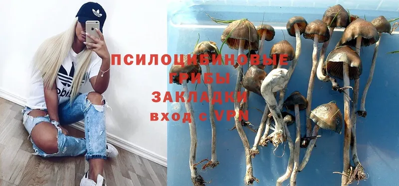 Псилоцибиновые грибы MAGIC MUSHROOMS  Алзамай 